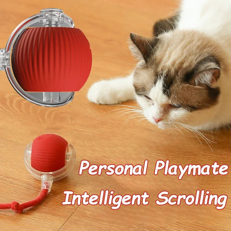 Interactive Toy Cat Scratch Motion Activated Sensor Cat Rolling Ball Accessories for Cats Hyper Drive Game Toys Pet Kitten Cat's