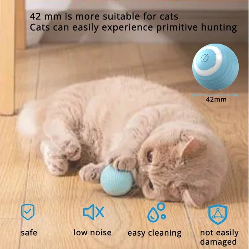 Interactive Cat Toy Ball Roll Pet Things Stuff Products Offer Supplies Games Kitten Accessories Katzen Gadgets Goods Articles