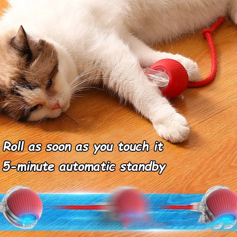 Interactive Toy Cat Scratch Motion Activated Sensor Cat Rolling Ball Accessories for Cats Hyper Drive Game Toys Pet Kitten Cat's