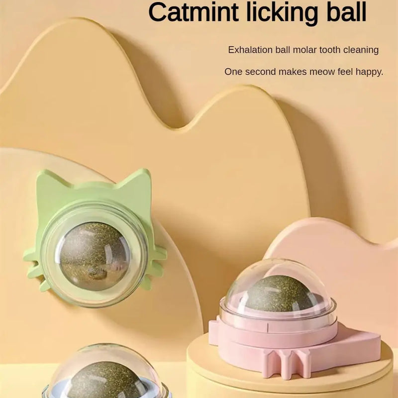 Catnip Balls Funny Lickable Cat Snack Catnip Balls Kitten Playing Chewing Cleaning Teeth Toy For Small Medium Cats pet supplies