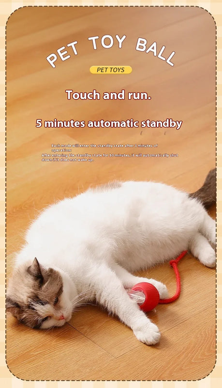 Interactive Toy Cat Scratch Motion Activated Sensor Cat Rolling Ball Accessories for Cats Hyper Drive Game Toys Pet Kitten Cat's