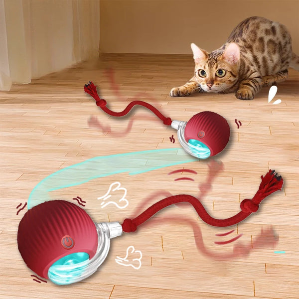 Interactive Toy Cat Scratch Motion Activated Sensor Cat Rolling Ball Accessories for Cats Hyper Drive Game Toys Pet Kitten Cat's